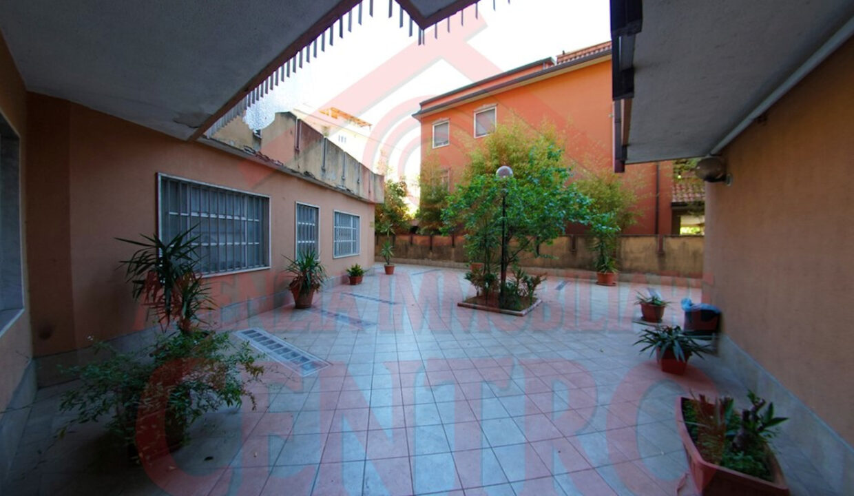 DSC04161
