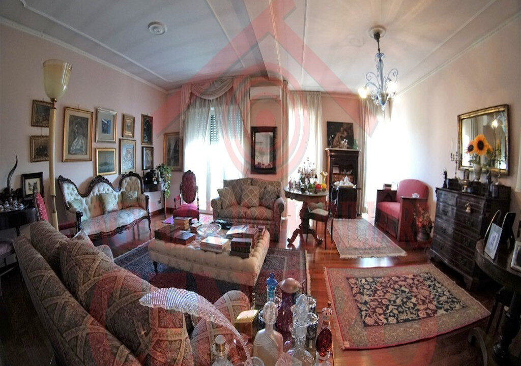 DSC04164 (2)