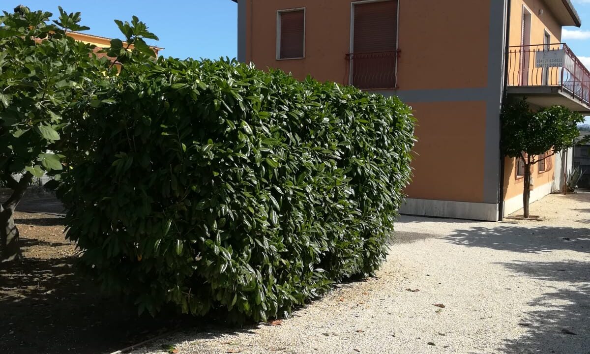 IMG-20190920-WA0019