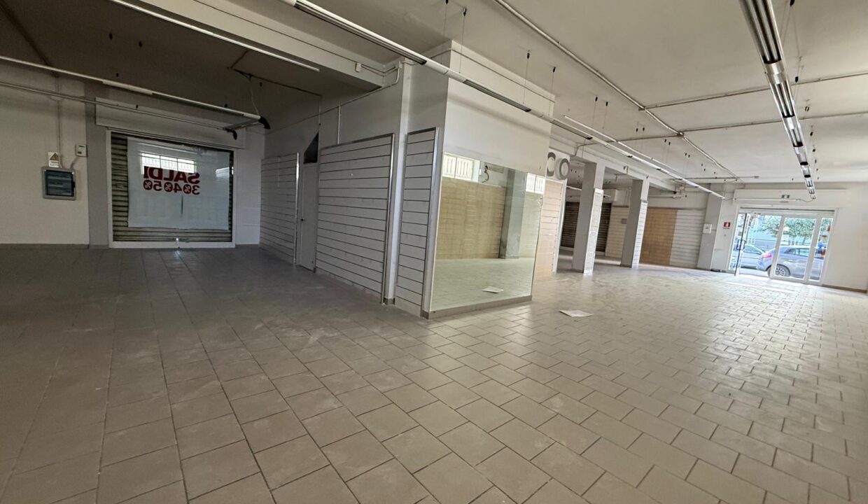 WhatsApp Image 2026-02-06 at 18.25.02(3)