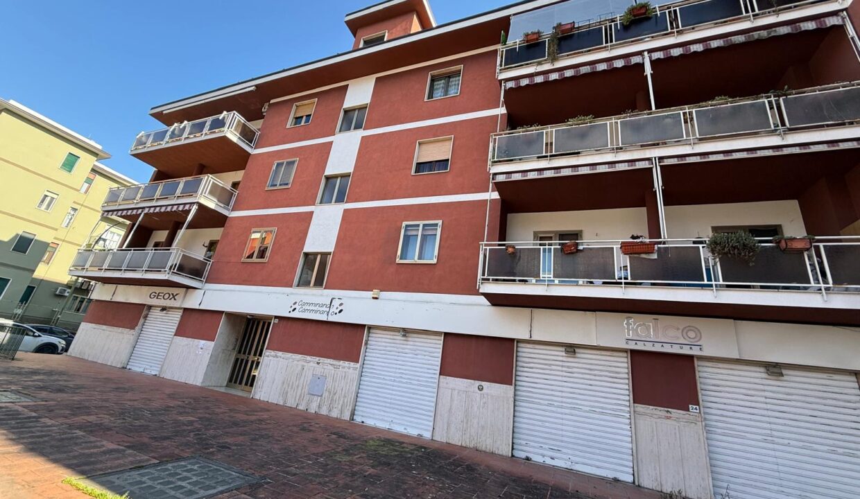 WhatsApp Image 2026-02-06 at 18.25.02(5)