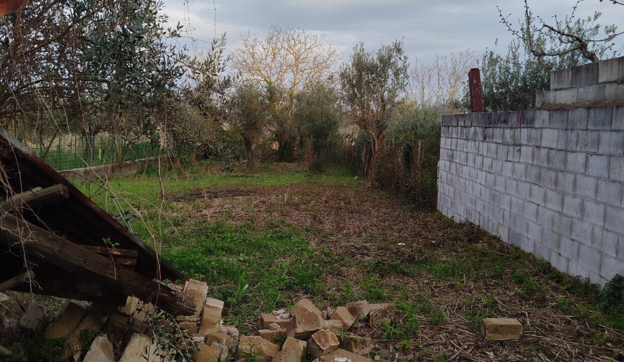 WhatsApp Image 2026-03-19 at 18.03.46