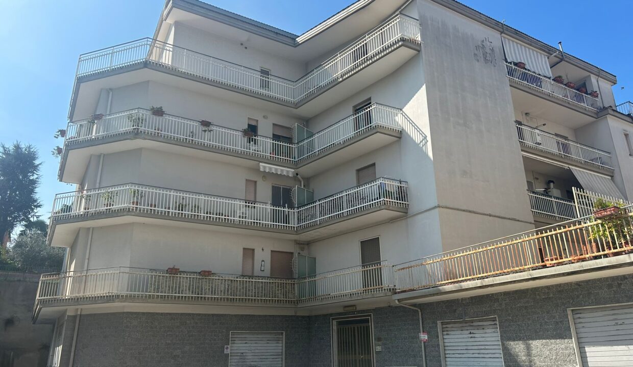 MAZZINI 1
