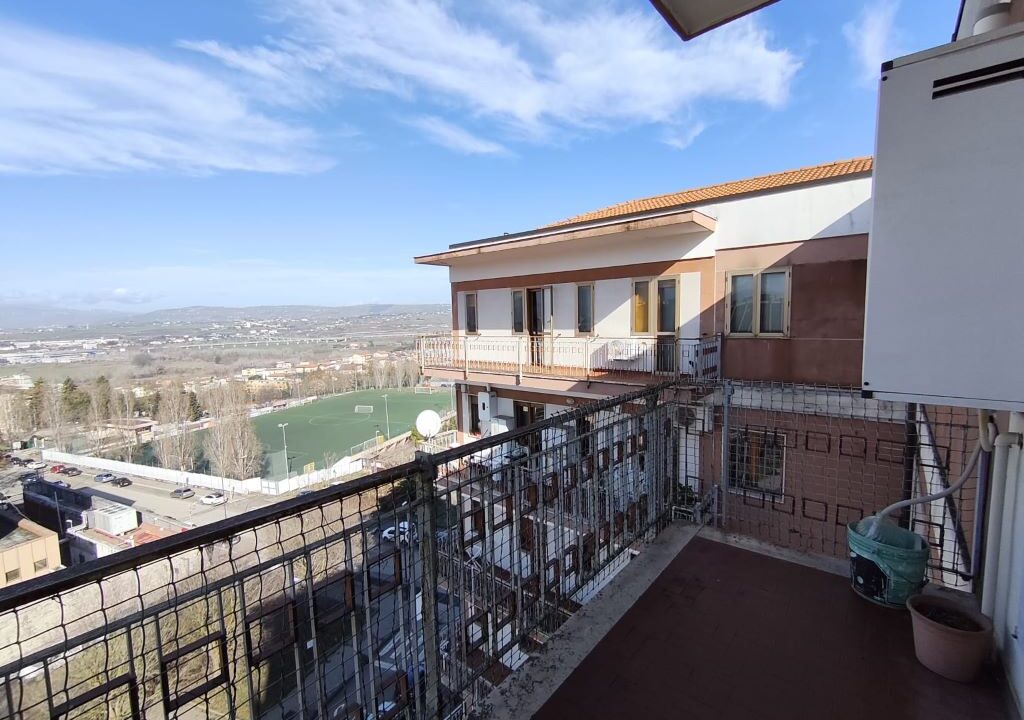 WhatsApp Image 2026-01-30 at 11.43.46