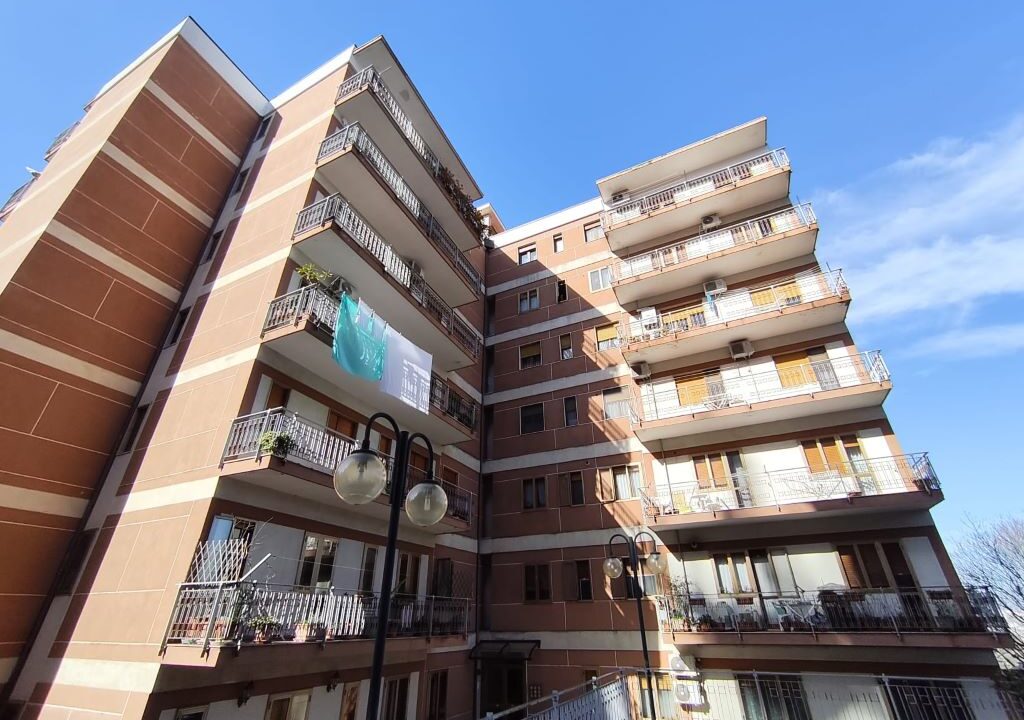 WhatsApp Image 2026-01-30 at 11.43.49