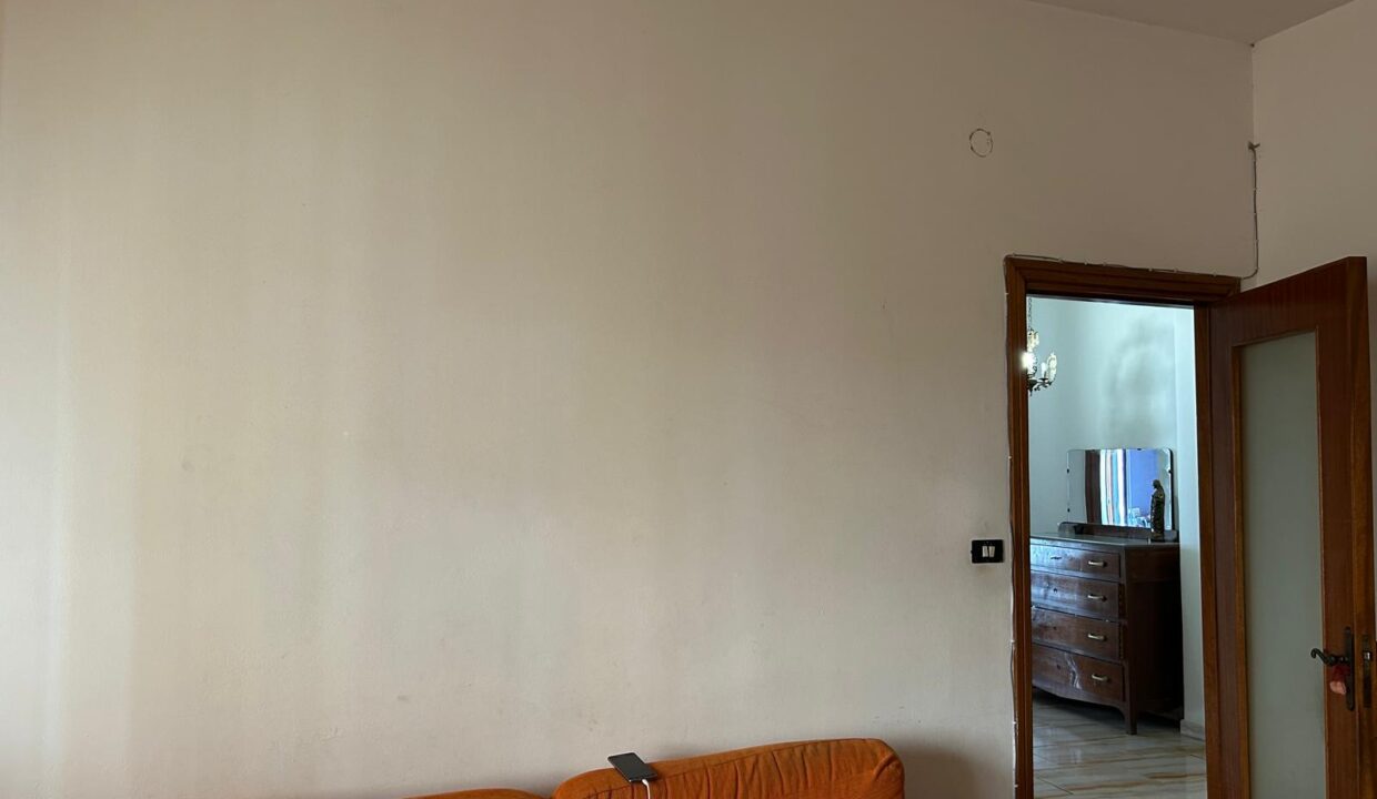 WhatsApp Image 2025-09-06 at 11.54.56 (1)
