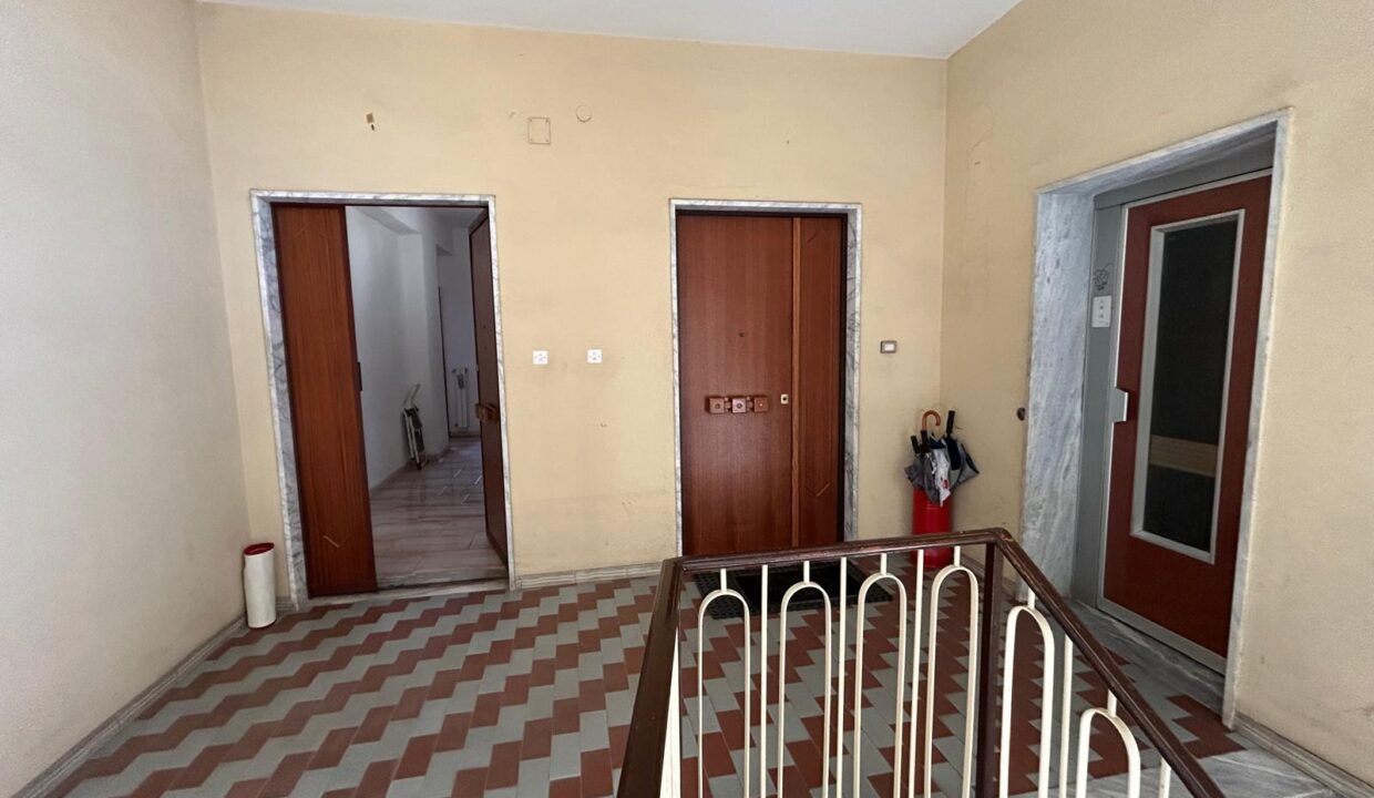 WhatsApp Image 2025-09-06 at 11.54.56 (2)