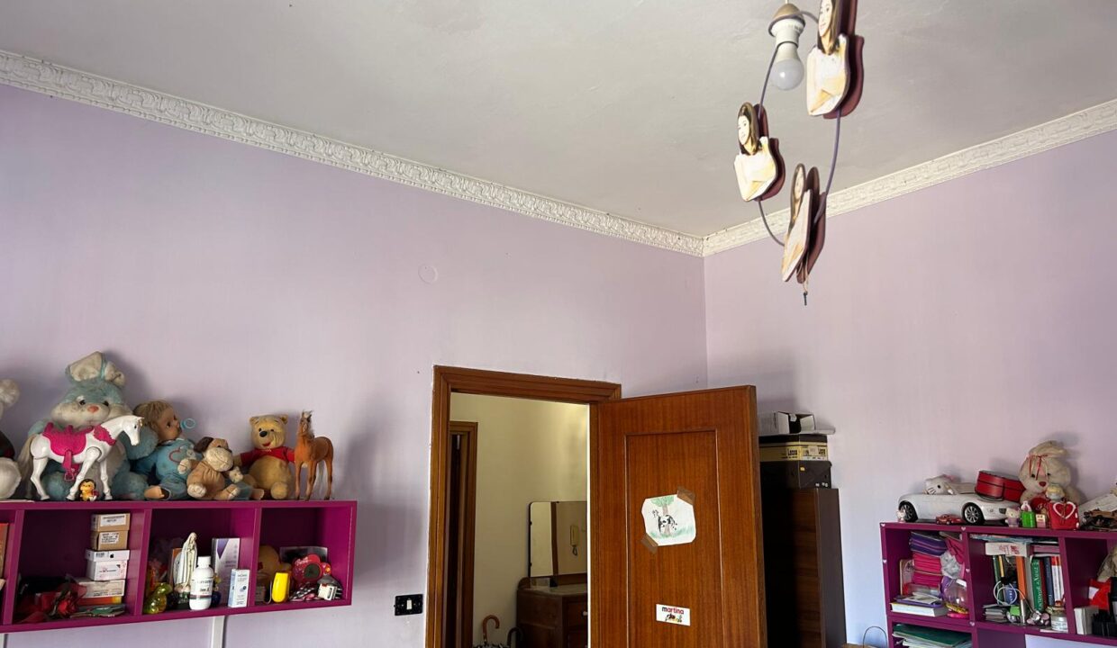 WhatsApp Image 2025-09-06 at 11.54.57 (1)