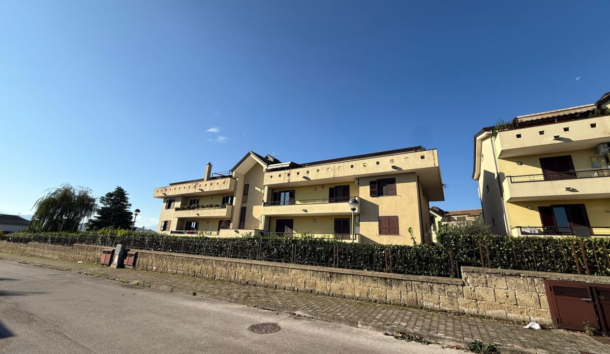 WhatsApp Image 2025-11-10 at 10.15.15