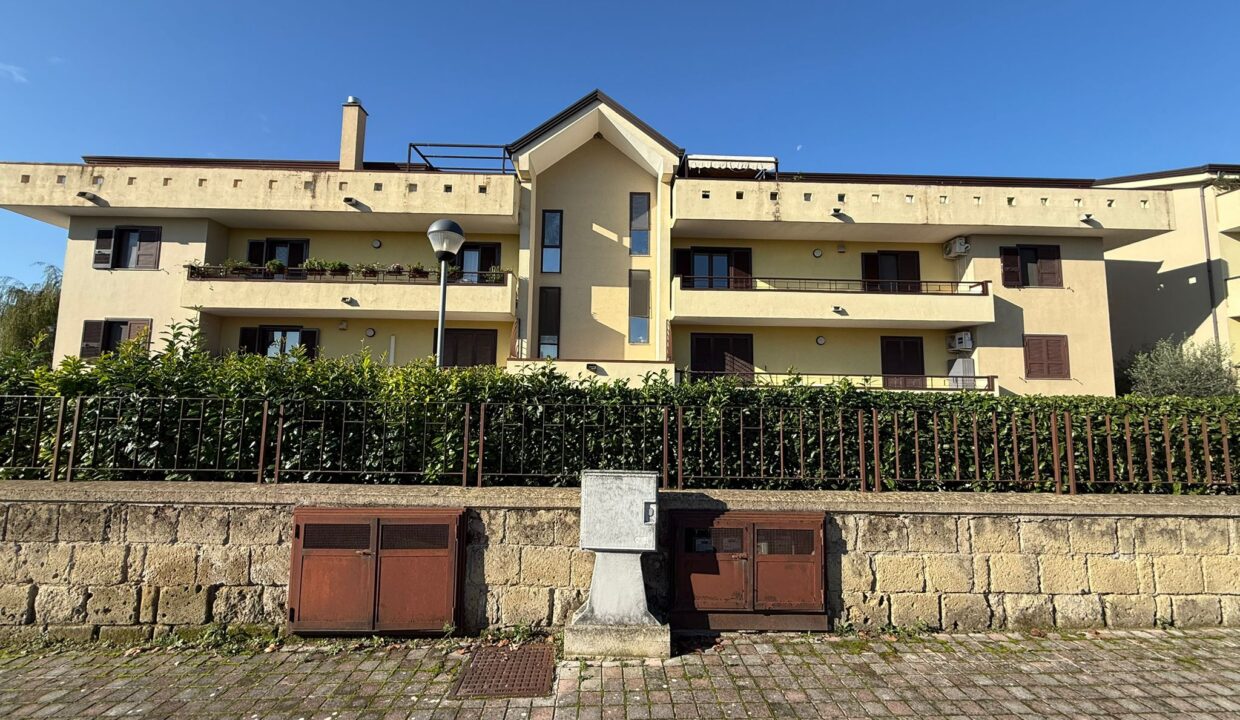 WhatsApp Image 2025-11-10 at 10.15.16 (1)