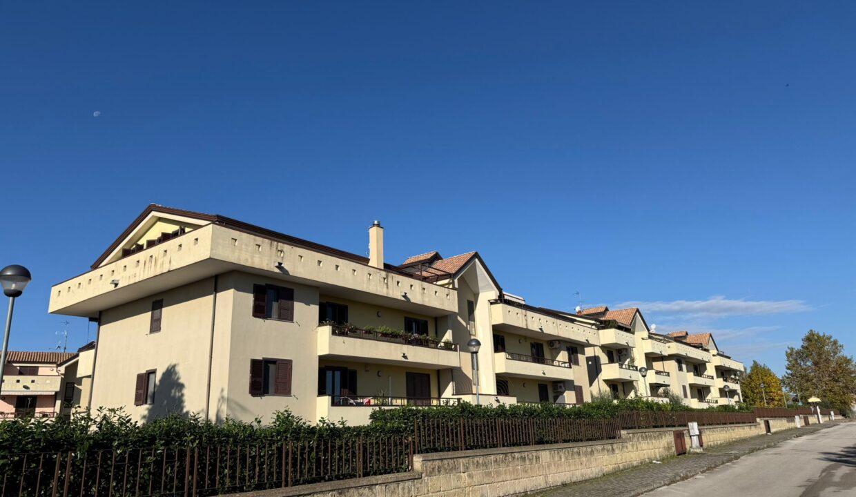 WhatsApp Image 2025-11-10 at 10.15.16 (2)