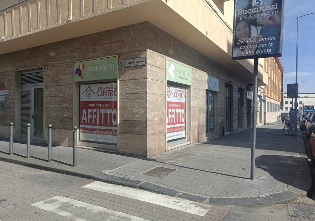 WhatsApp Image 2026-02-23 at 11.50.49