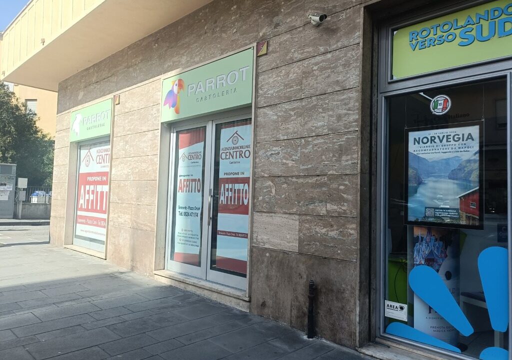 WhatsApp Image 2026-02-23 at 11.50.50(1)