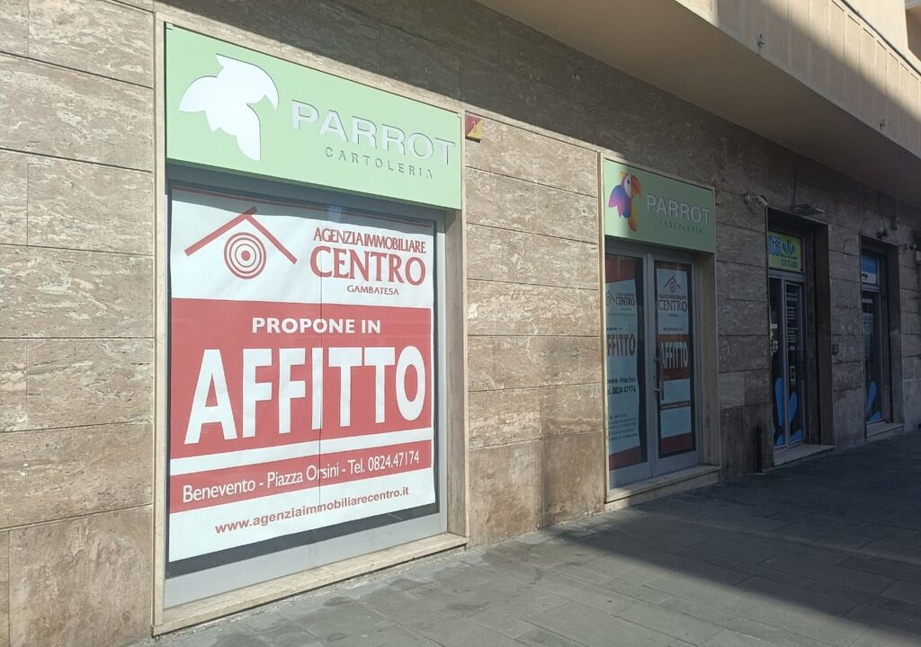 WhatsApp Image 2026-02-23 at 11.50.50(2)