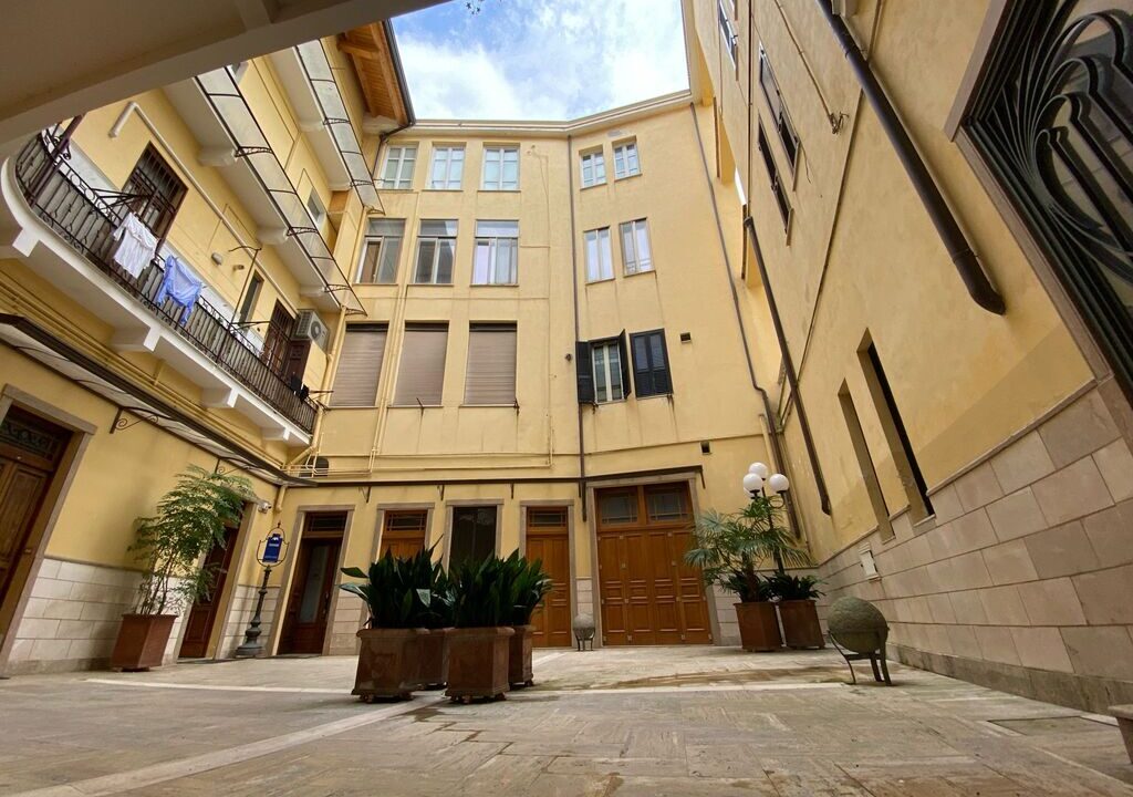 WhatsApp Image 2024-02-23 at 11.49.58