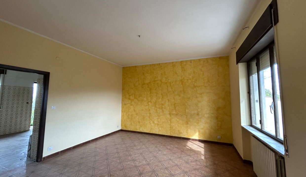 WhatsApp Image 2025-11-25 at 17.44.10 (1)