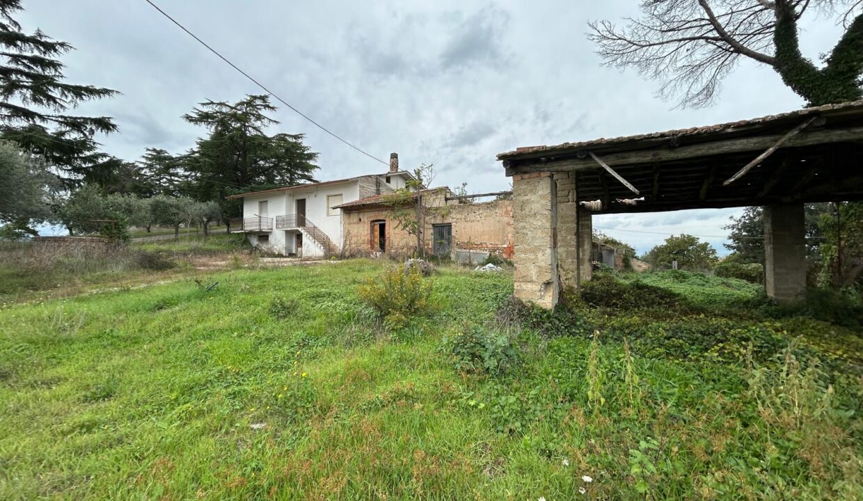 WhatsApp Image 2025-11-25 at 17.44.10 (12)