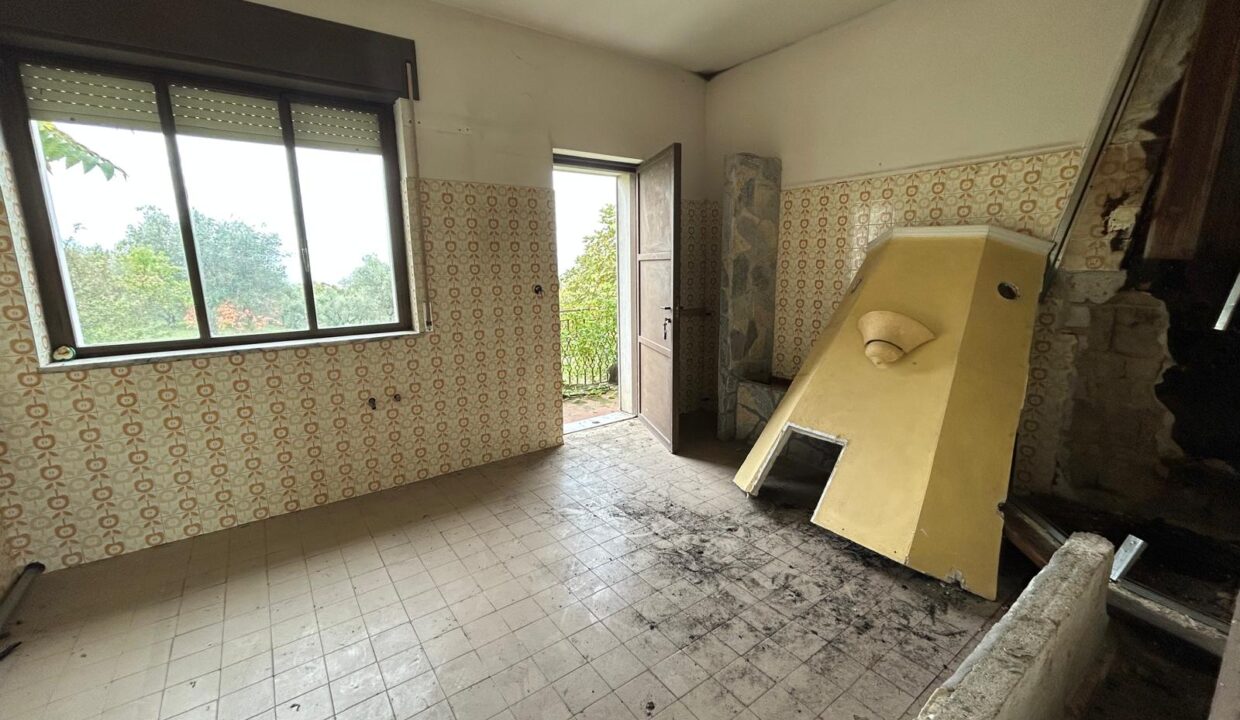 WhatsApp Image 2025-11-25 at 17.44.10 (2)