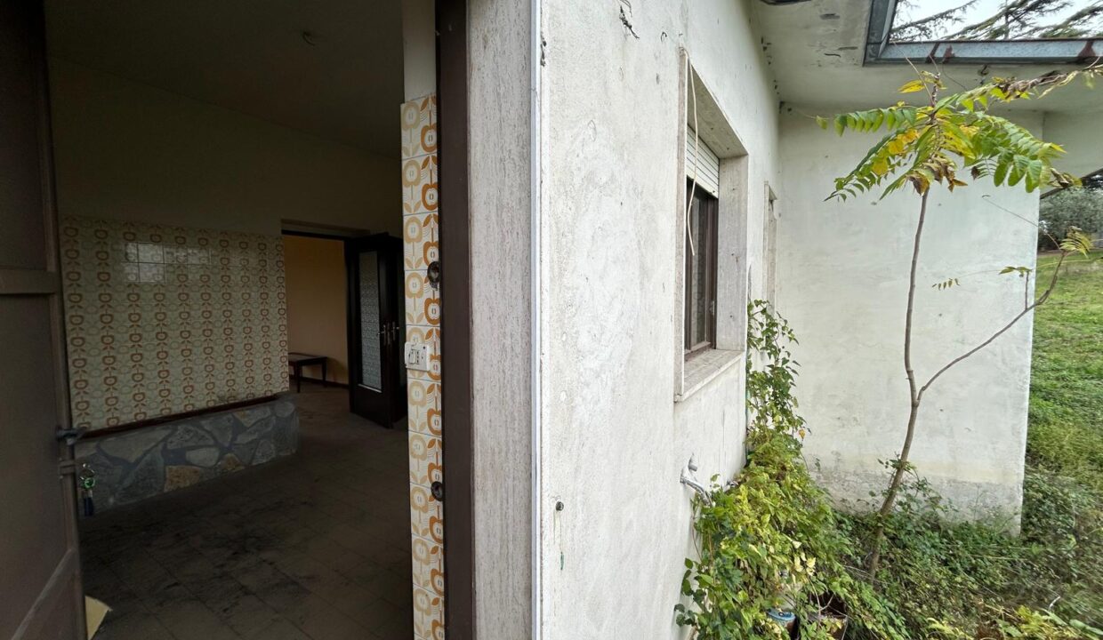 WhatsApp Image 2025-11-25 at 17.44.10 (3)