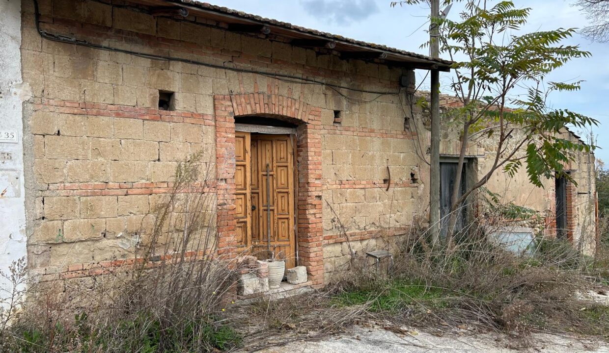 WhatsApp Image 2025-11-25 at 17.44.11