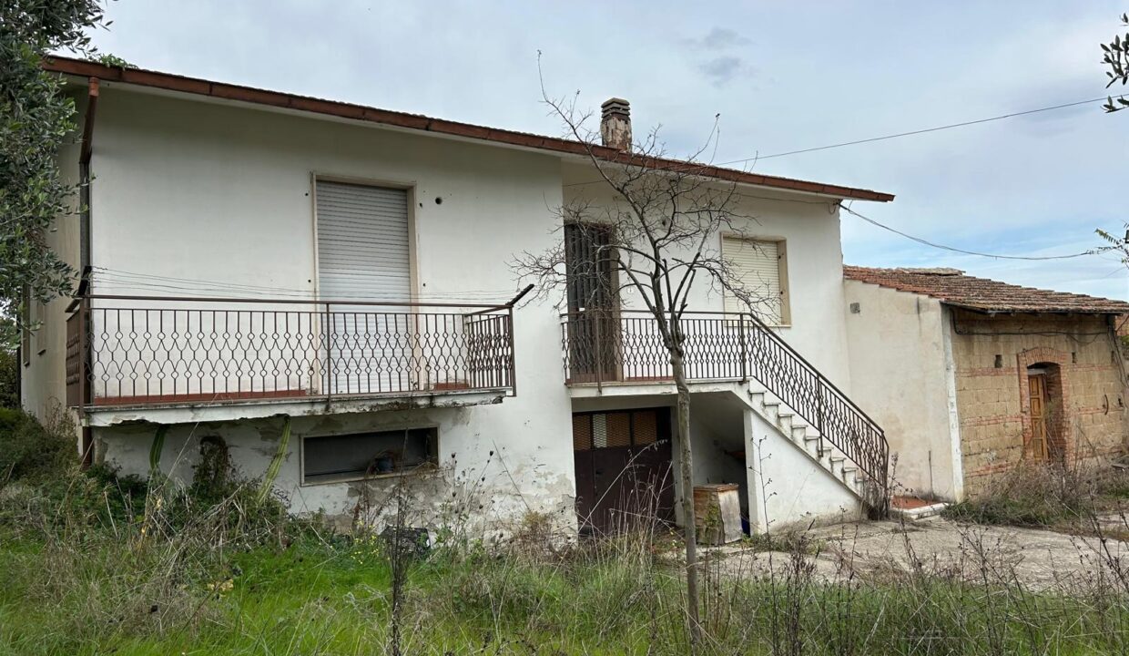 WhatsApp Image 2025-11-25 at 17.44.11 (2)