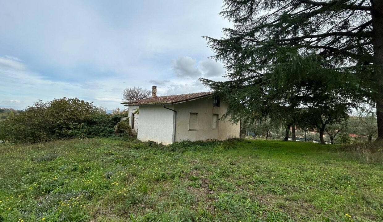 WhatsApp Image 2025-11-25 at 17.44.11 (3)