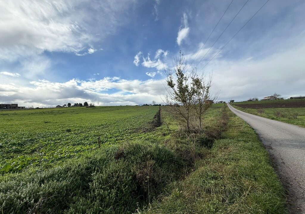 WhatsApp Image 2025-11-26 at 12.02.48 (1) (1)