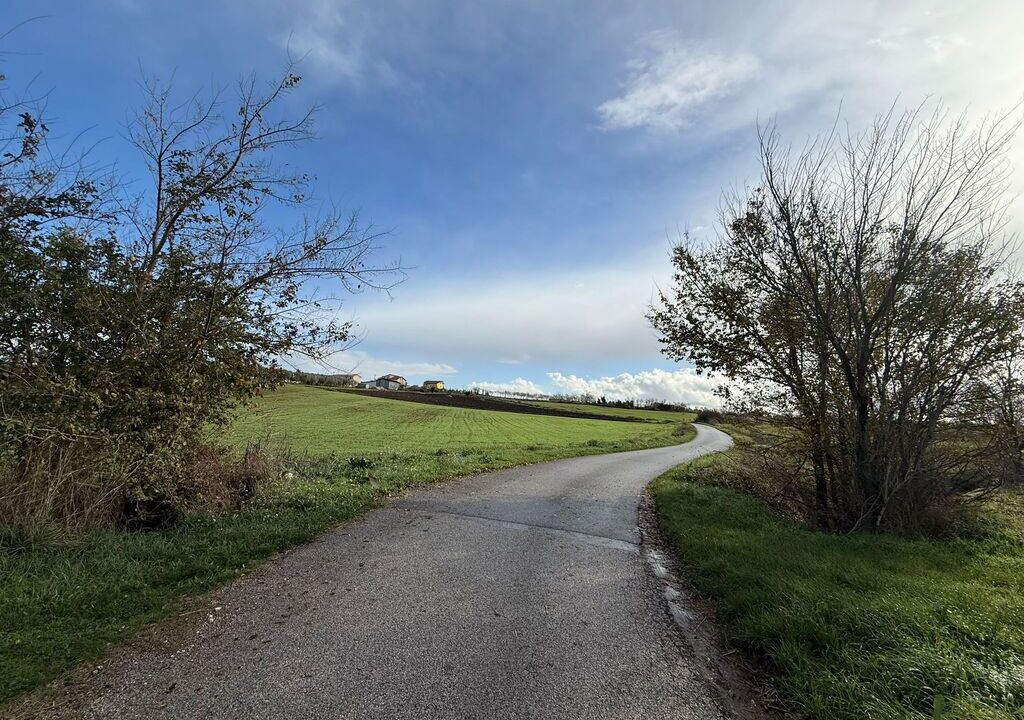 WhatsApp Image 2025-11-26 at 12.02.48 (3)