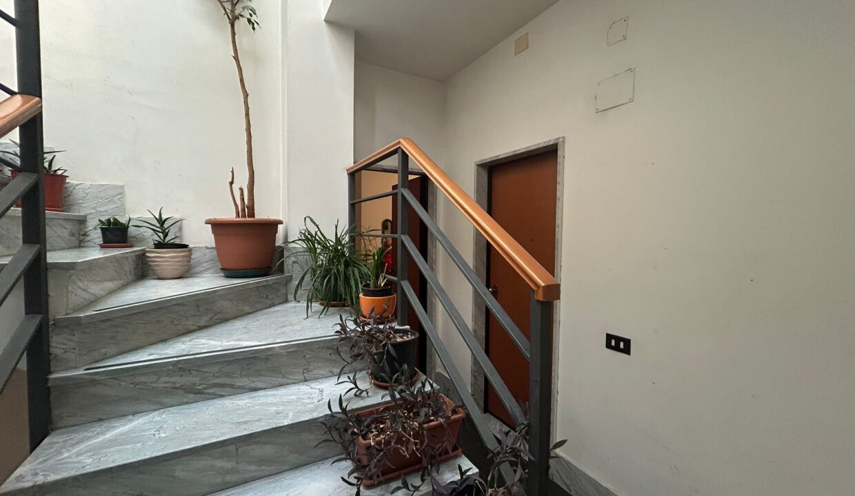 WhatsApp Image 2025-12-01 at 16.17.45