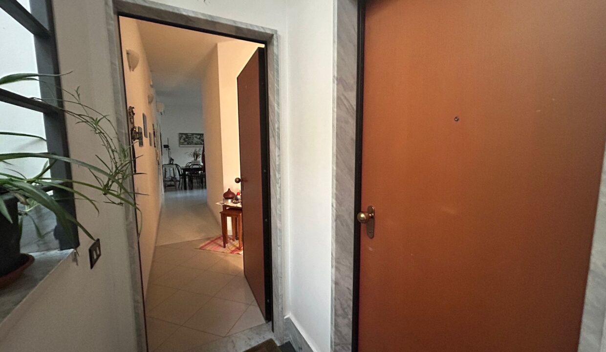 WhatsApp Image 2025-12-01 at 16.17.47