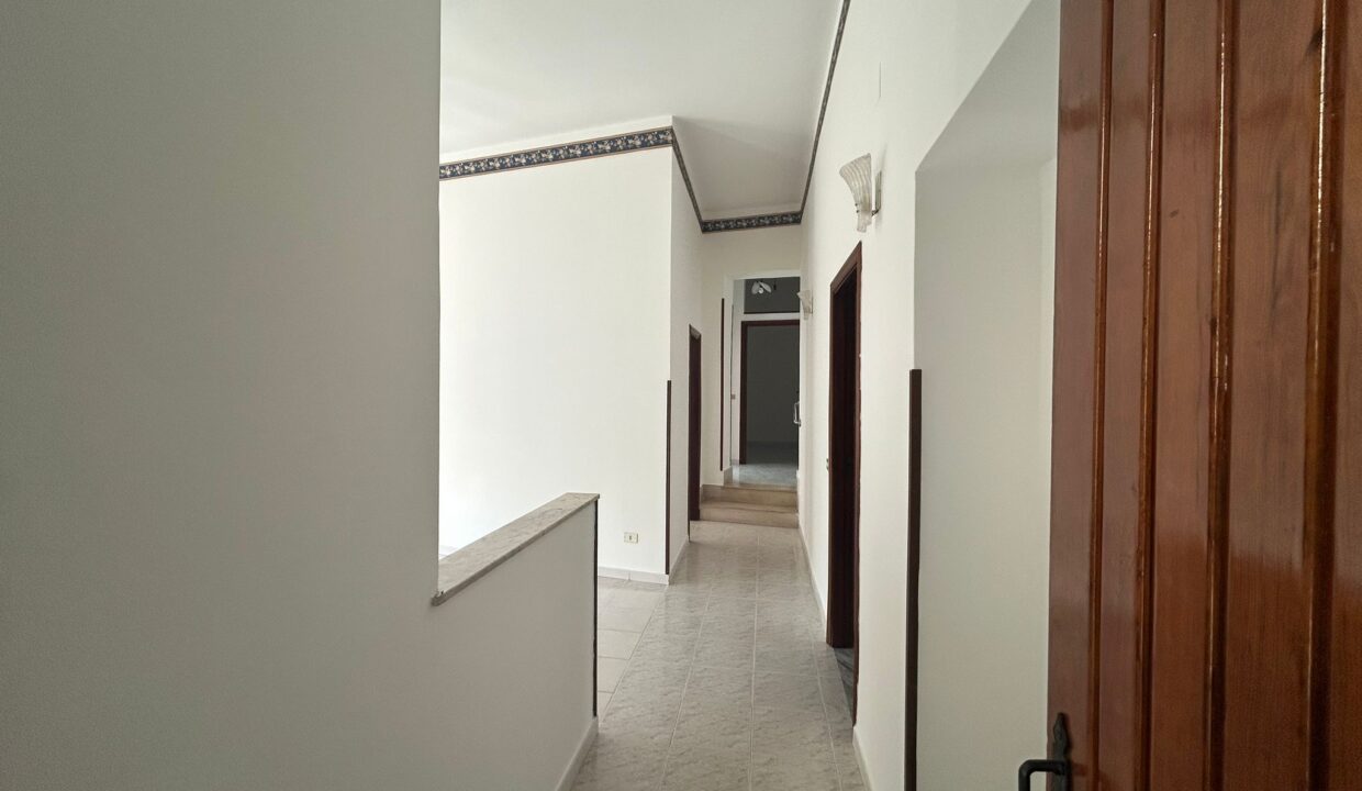 WhatsApp Image 2025-12-10 at 11.21.14