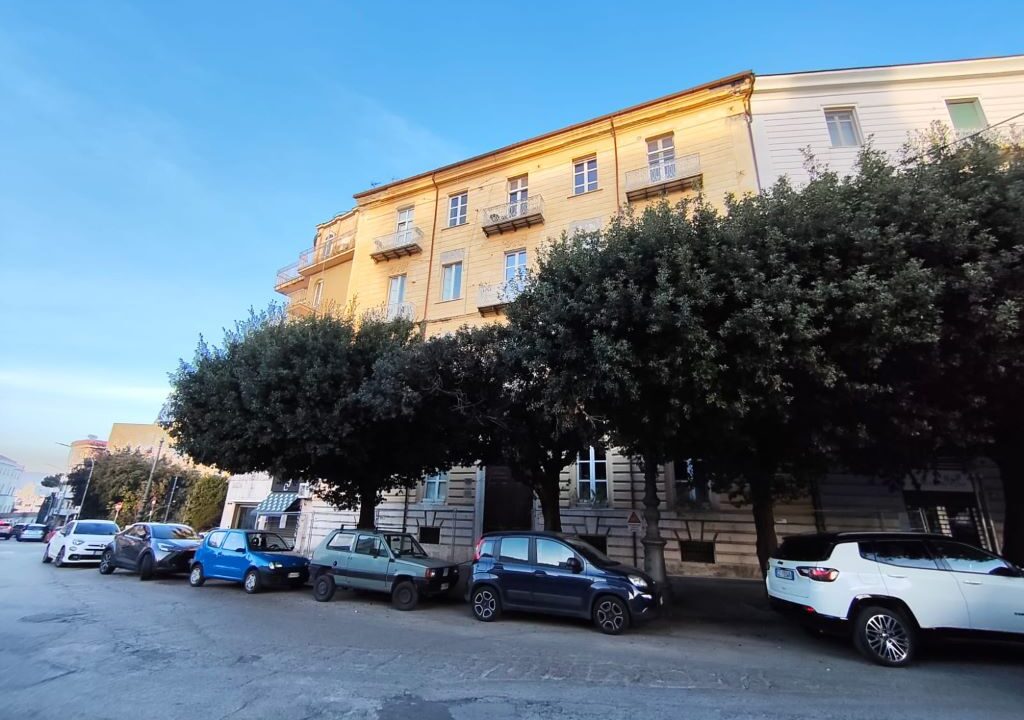 WhatsApp Image 2025-12-15 at 15.19.12