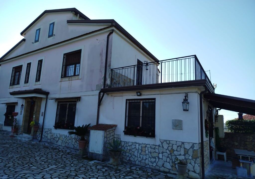 WhatsApp Image 2025-12-10 at 17.56.36