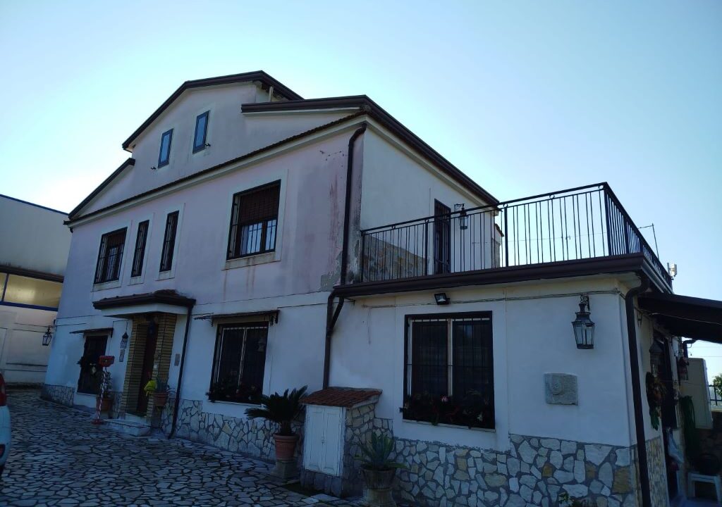 WhatsApp Image 2025-12-10 at 17.56.37