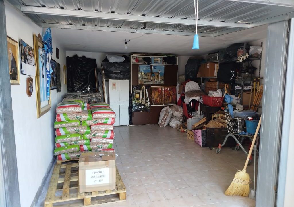 WhatsApp Image 2025-12-10 at 17.56.44