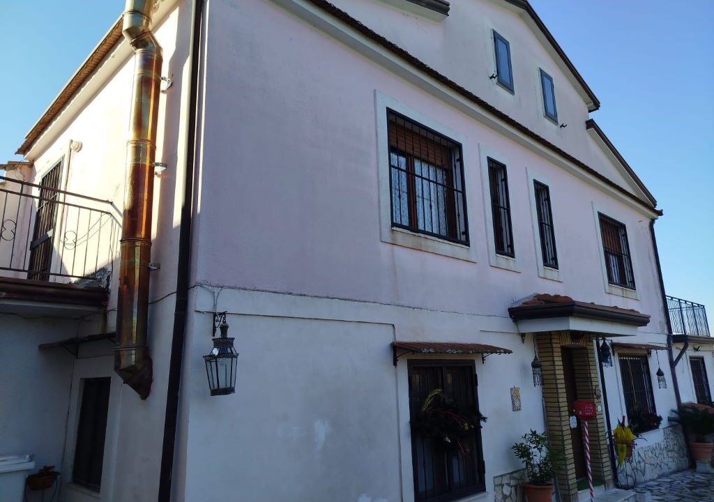 WhatsApp Image 2025-12-10 at 17.56.45