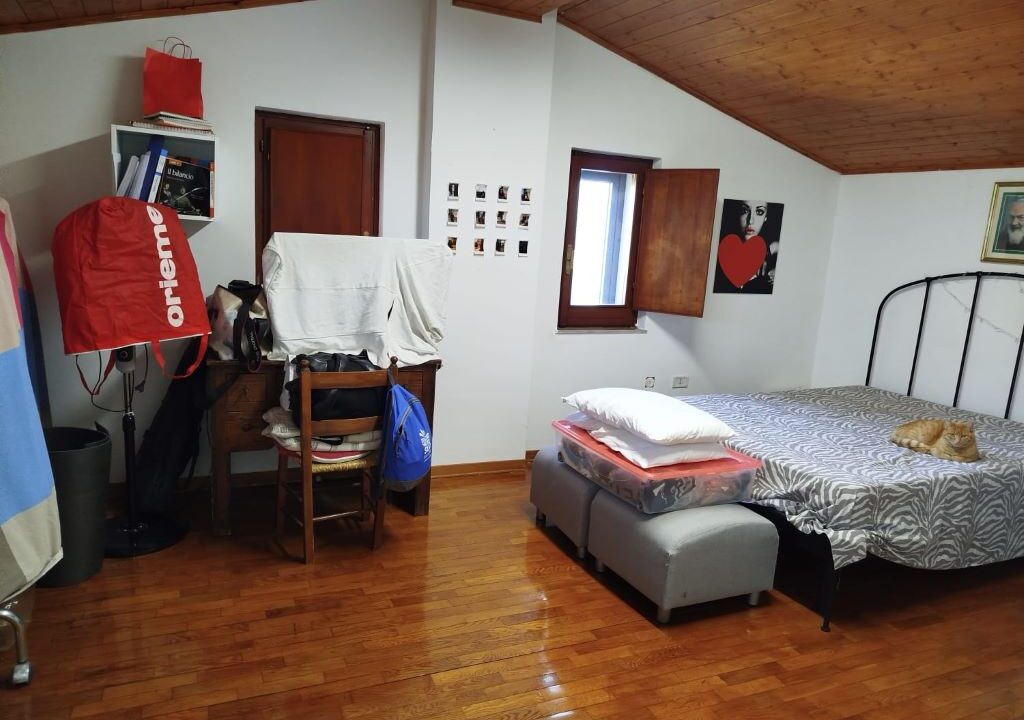 WhatsApp Image 2025-12-10 at 17.57.06