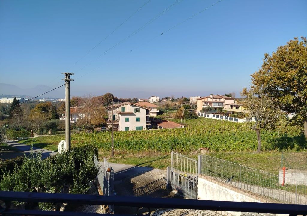 WhatsApp Image 2025-12-10 at 17.57.21