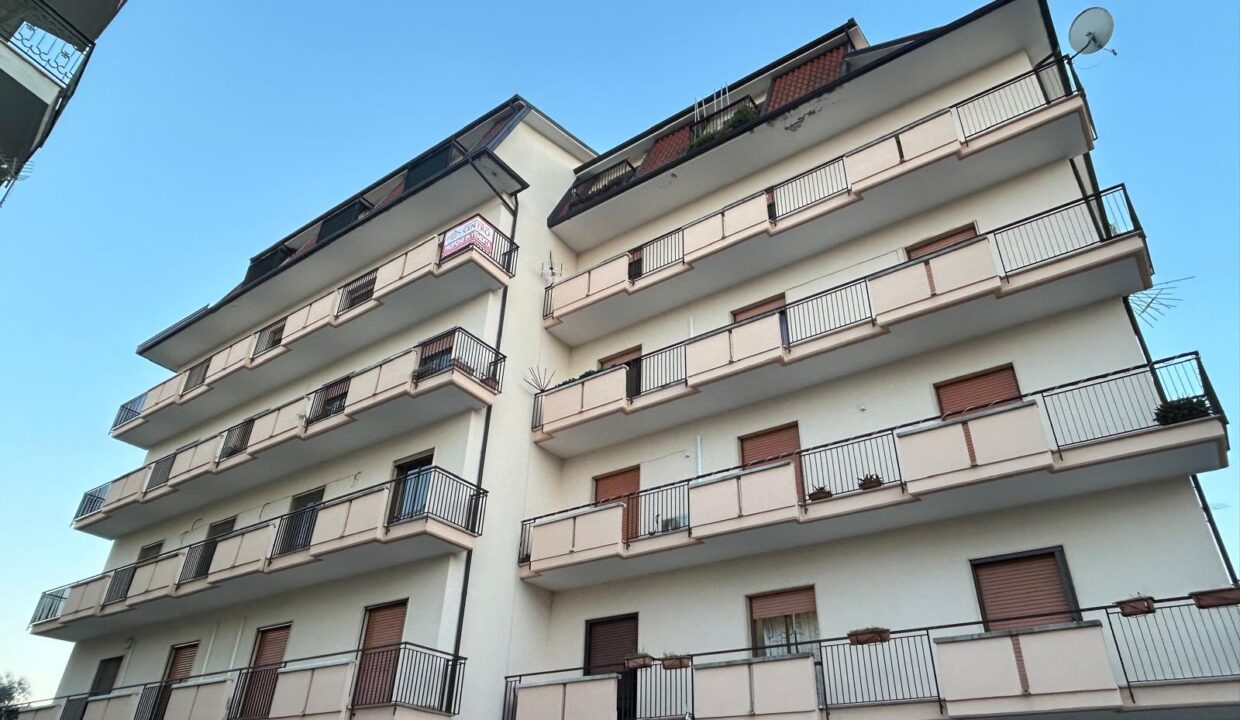 WhatsApp Image 2025-12-29 at 16.32.45 (5)