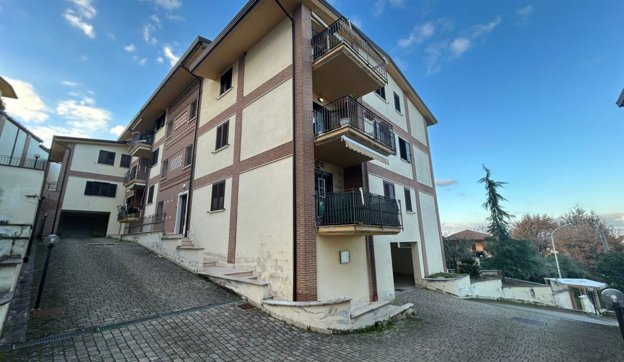 WhatsApp Image 2026-01-19 at 17.03.50 (2)