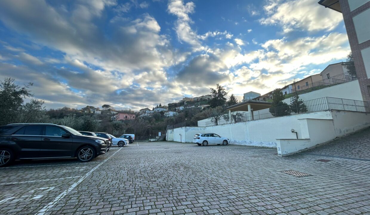 WhatsApp Image 2026-01-19 at 17.03.51 (2)