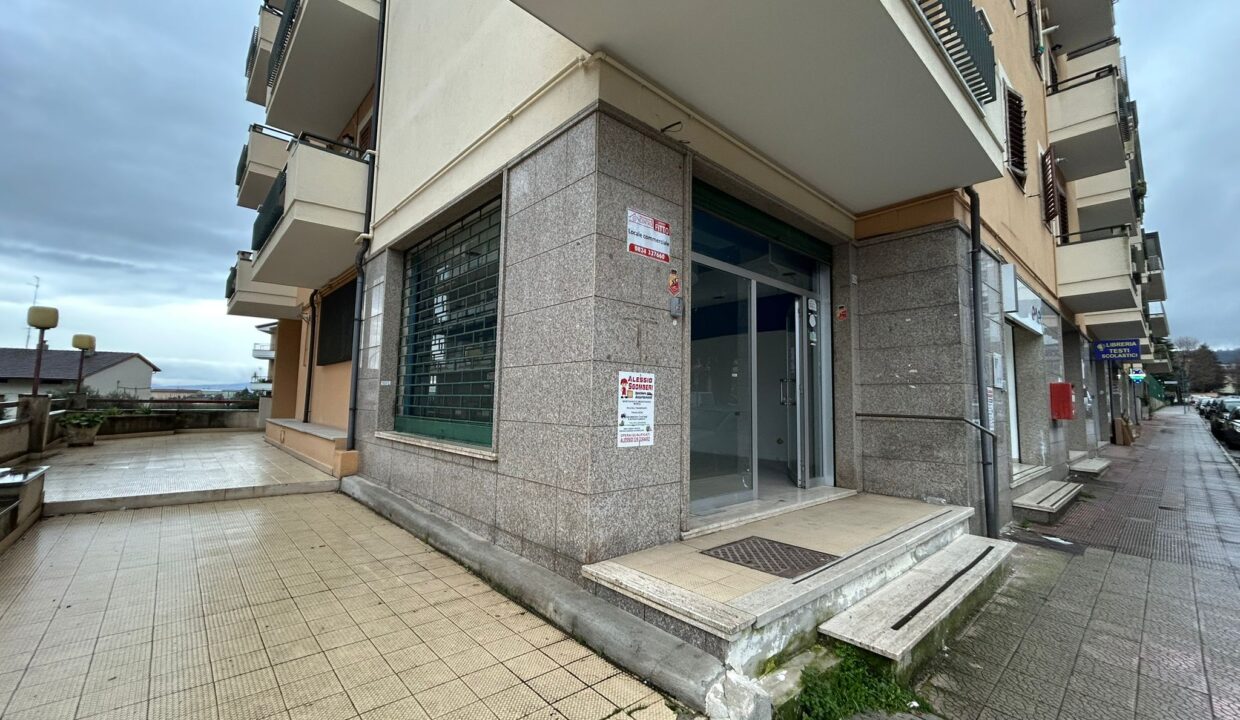 WhatsApp Image 2026-01-19 at 17.46.48 (1)