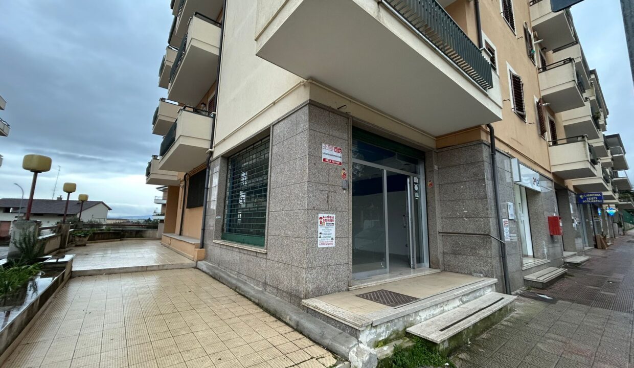 WhatsApp Image 2026-01-19 at 17.46.48