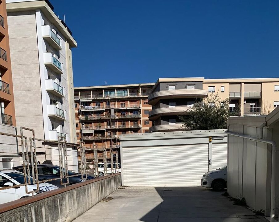 WhatsApp Image 2026-01-27 at 11.27.23 (1)