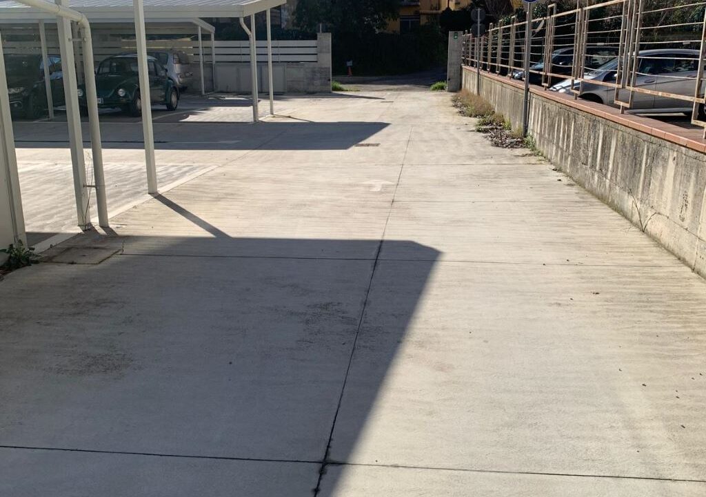 WhatsApp Image 2026-01-27 at 11.27.23 (2)