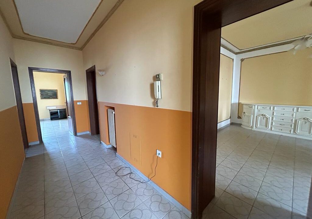 WhatsApp Image 2023-11-24 at 11.06.03 (3)