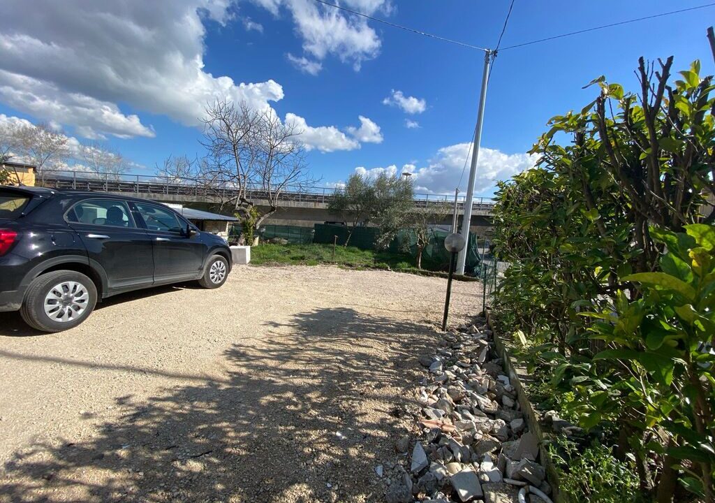 WhatsApp Image 2024-02-21 at 11.52.58