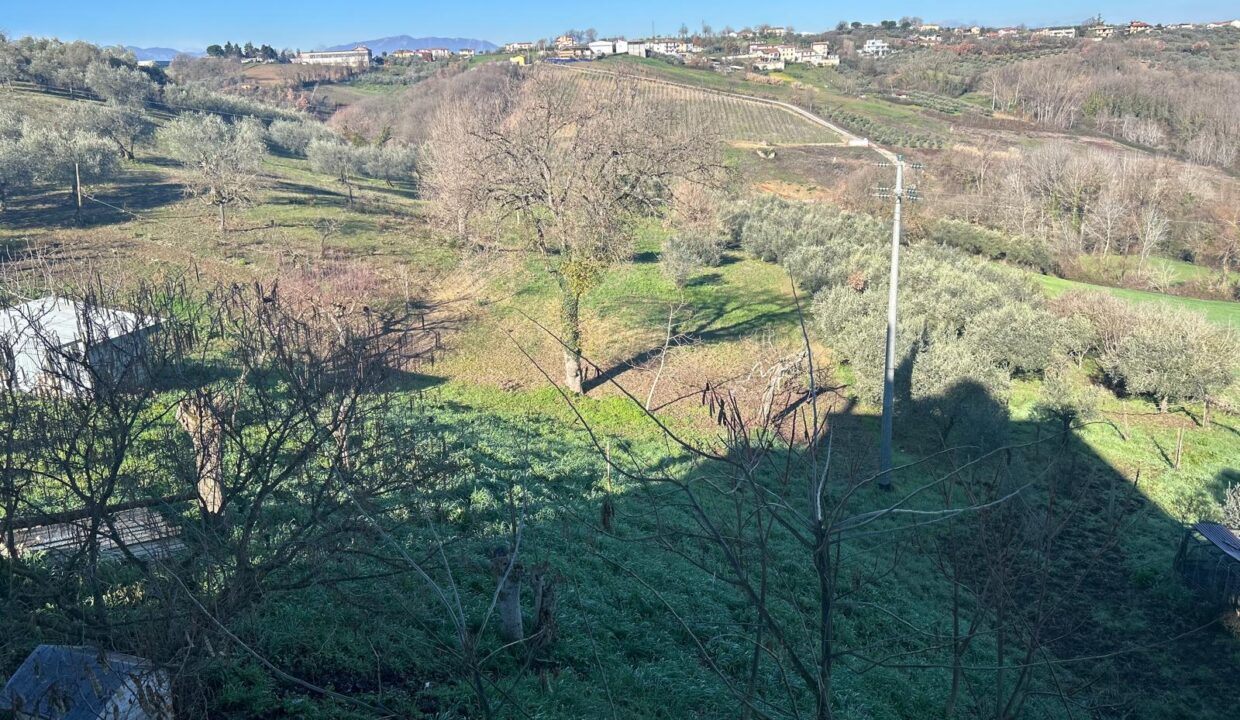 WhatsApp Image 2026-01-27 at 17.40.26 (16)