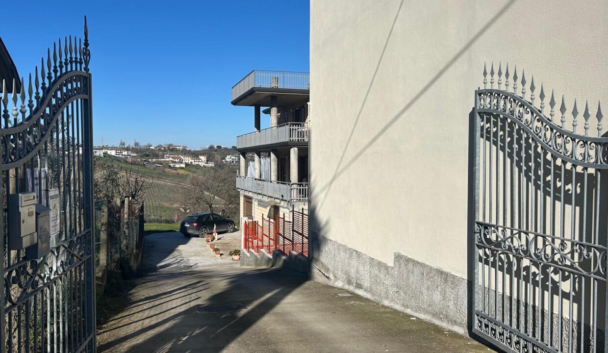 WhatsApp Image 2026-01-27 at 17.40.26 (18)