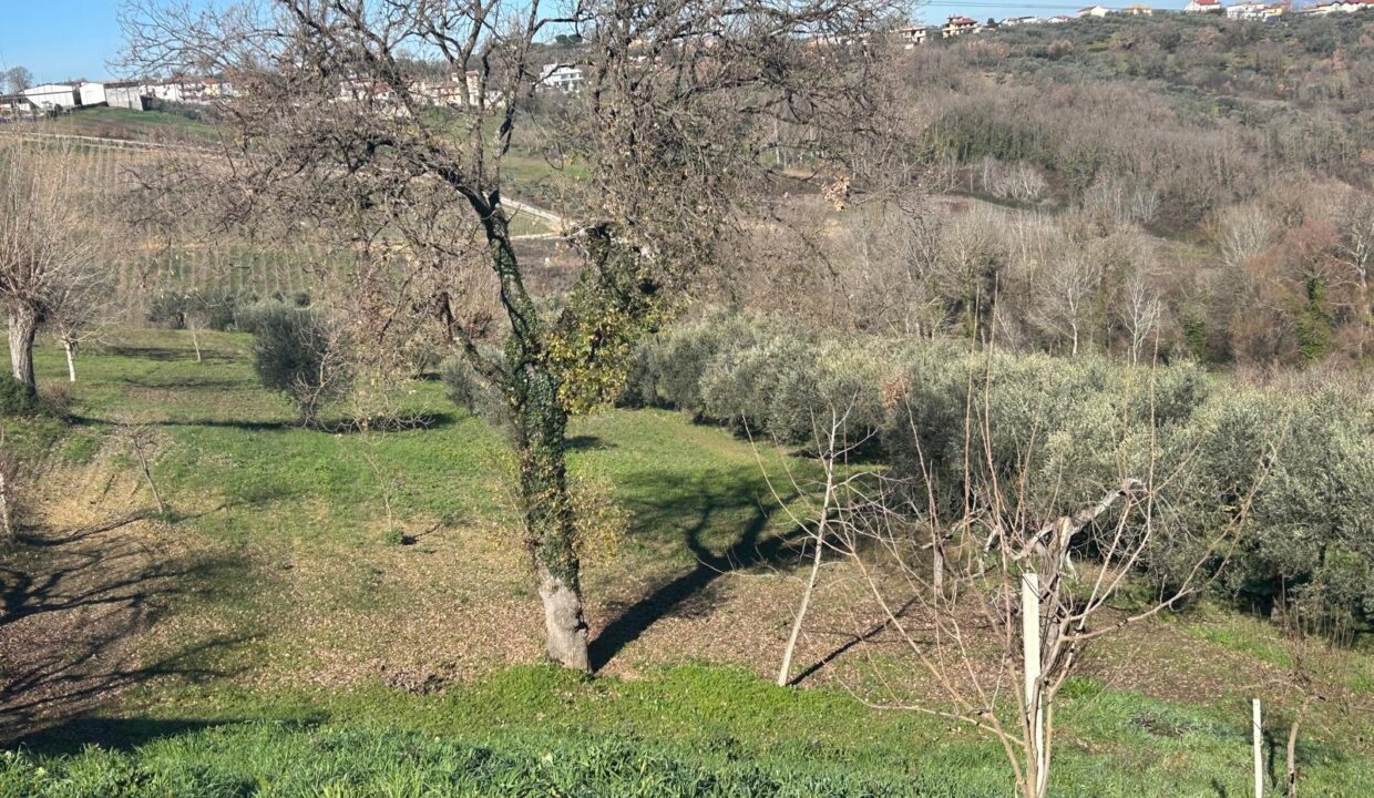 WhatsApp Image 2026-01-27 at 17.40.26 (19)